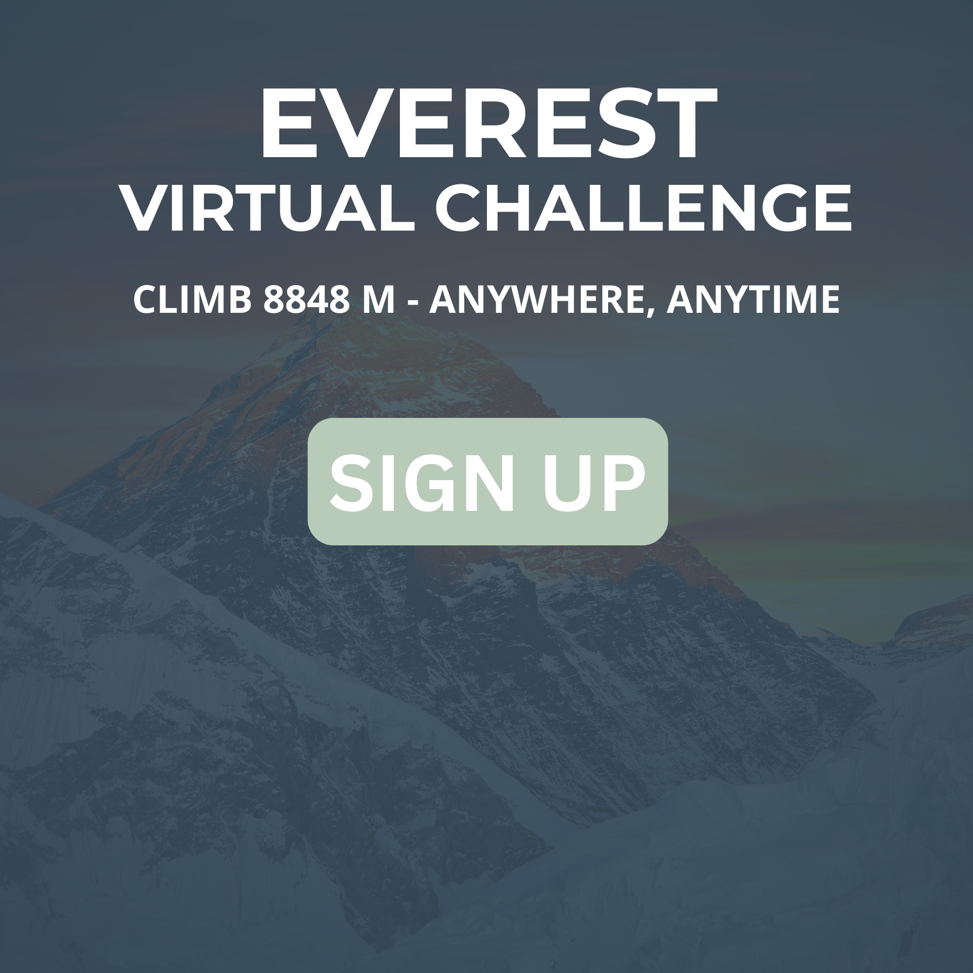 Everest Virtual Challenge