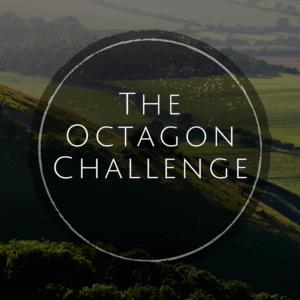 The Octagon Challenge