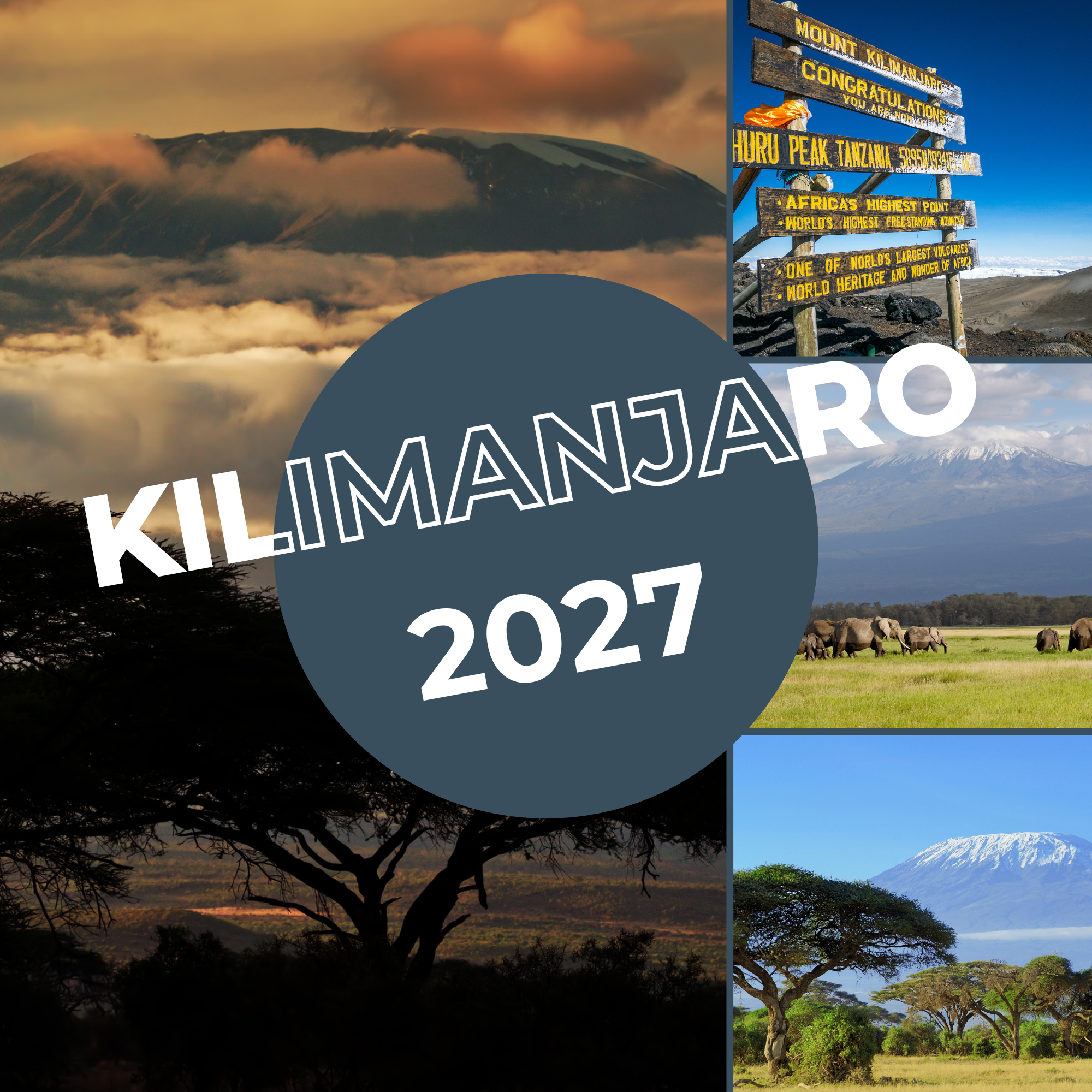 Kimimanjaro 2027